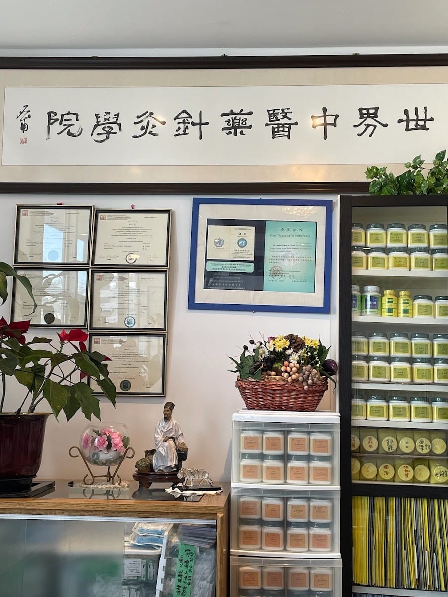 World Chinese Medicine and Acupuncture College Clinic of Canada