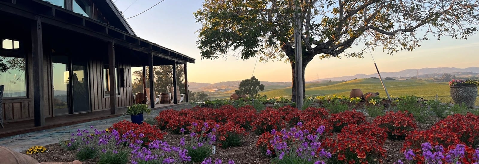 Olive Hill, photo 3
