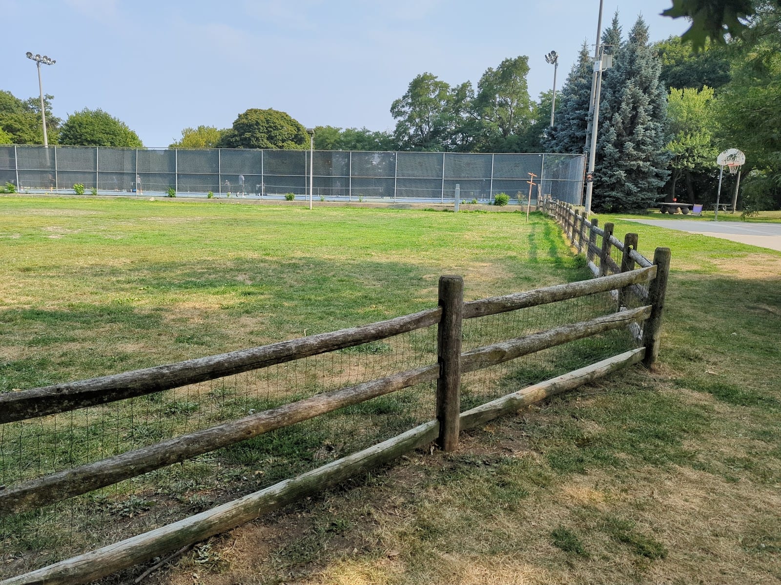 Hillcrest Dogs Off-leash Area, photo 2