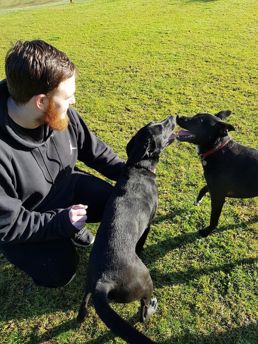 Cobb Road Reserve Fenced Dog Park