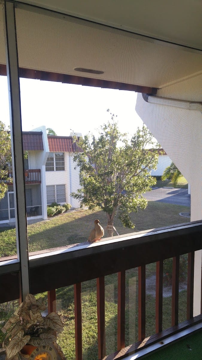 Coldwell Banker: Punta Gorda, photo 3