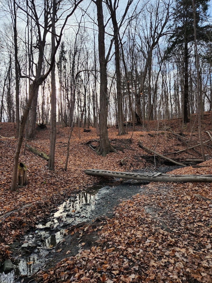 Crawford - Jones Memorial Park