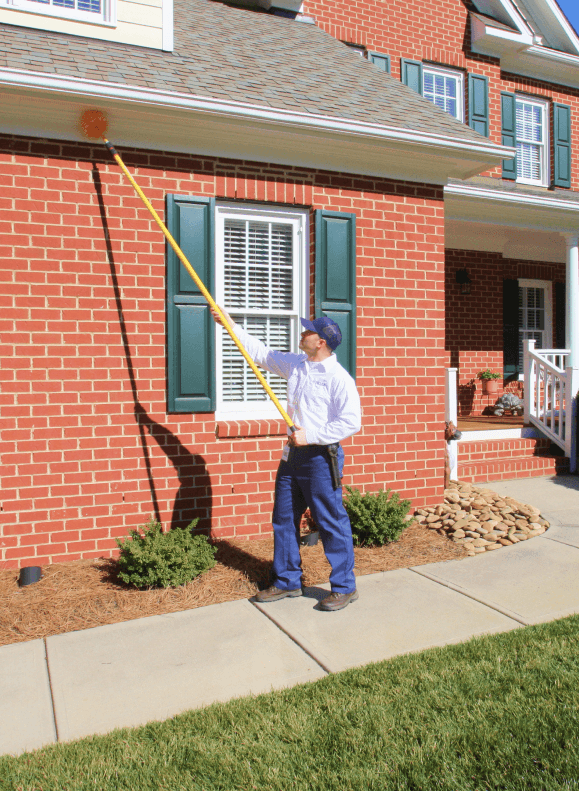 Insight Pest Solutions, photo 3