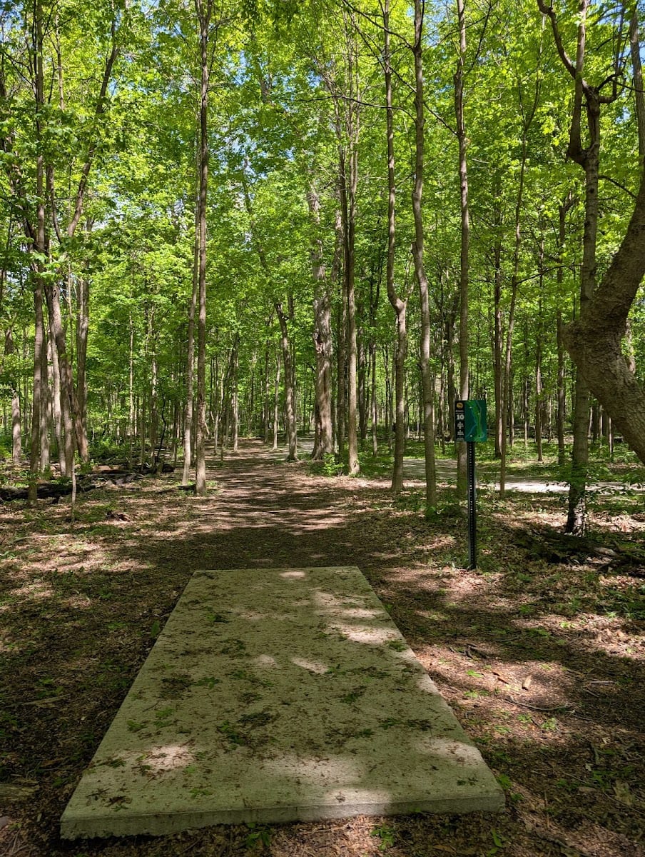 Purdue Fort Wayne Mastodon Disc Golf Course, photo 2