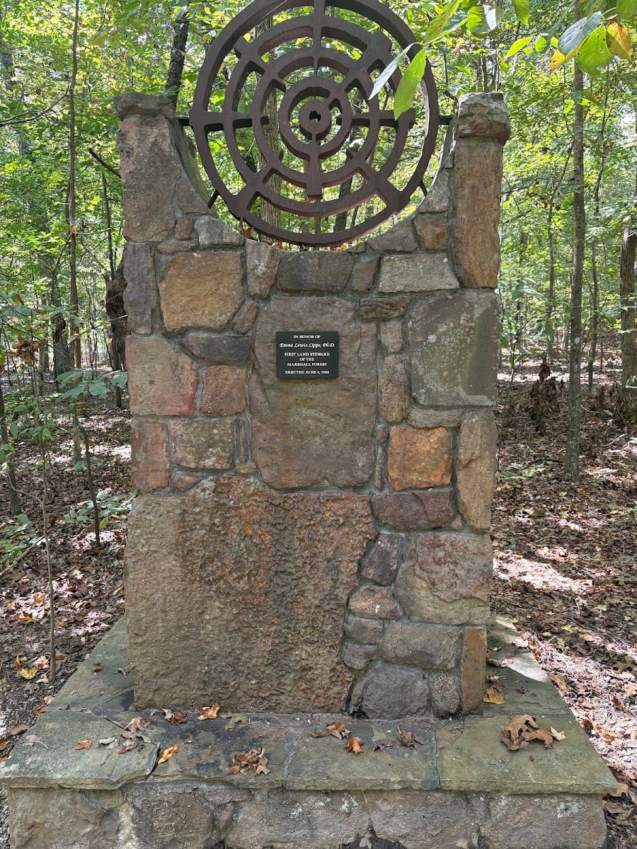 Marshall Forest