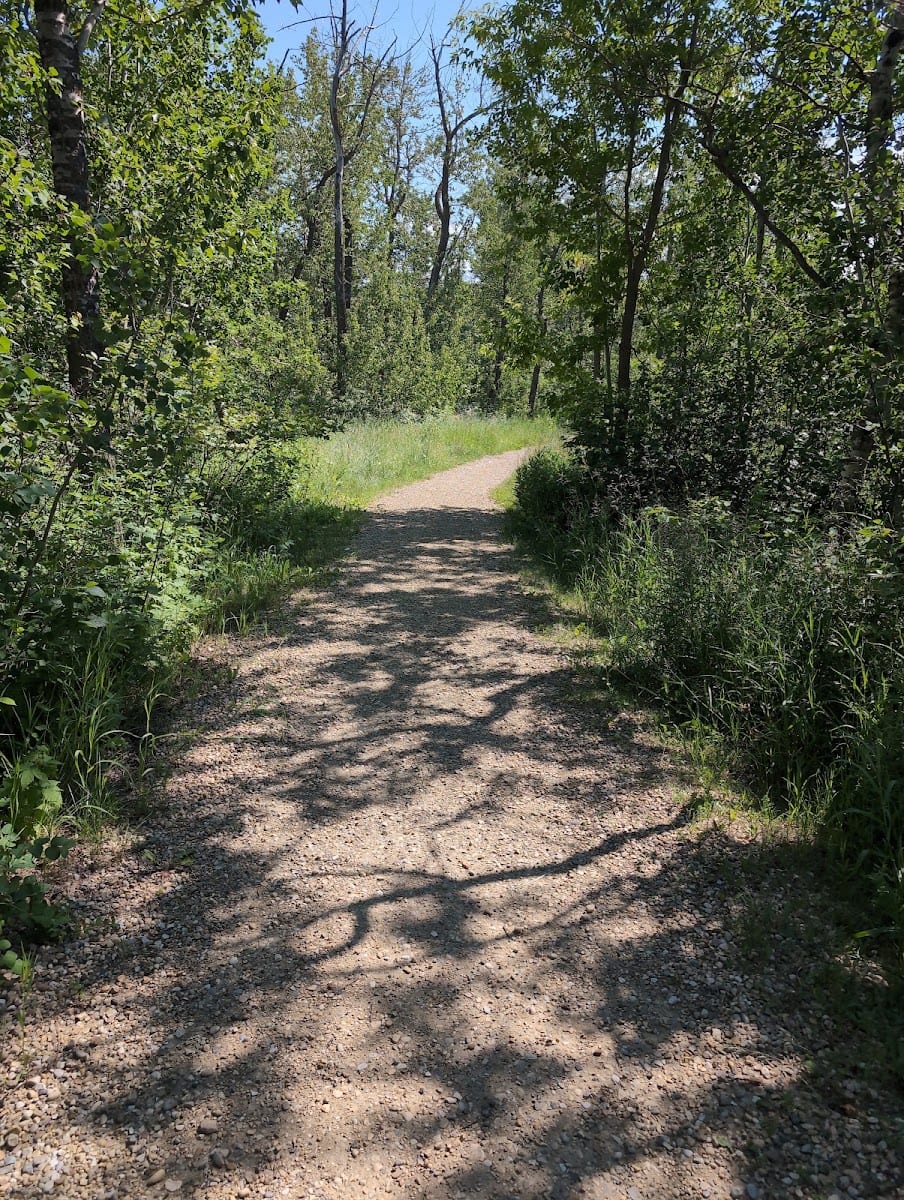 Ambleside park
