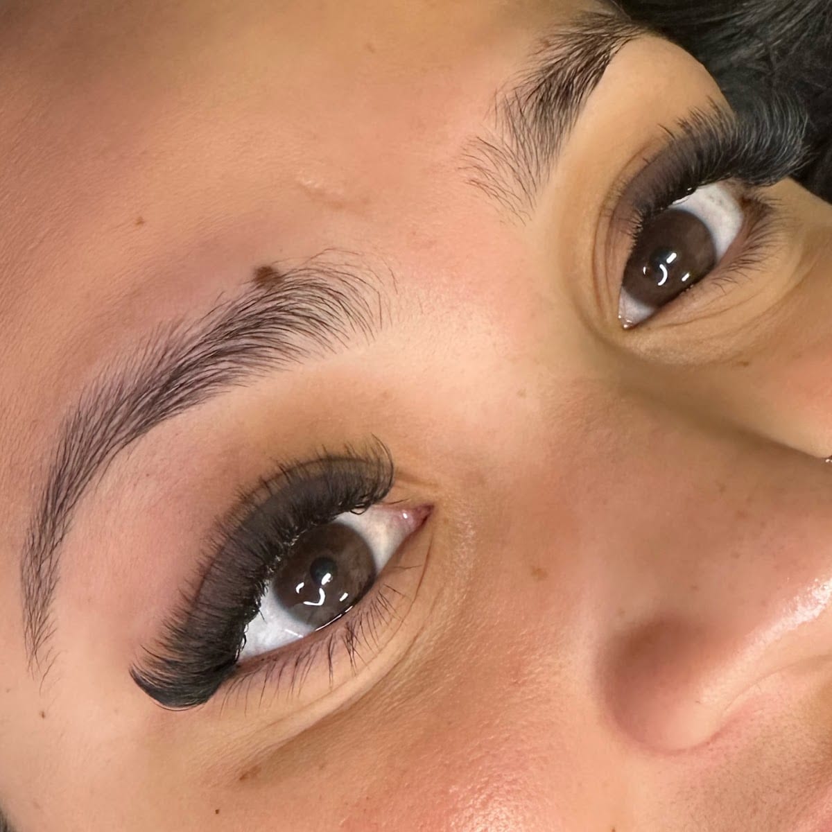 Belair Brows