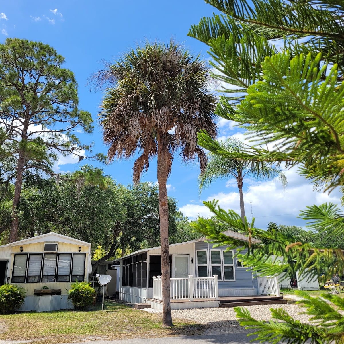 Myakka River RV Resort, photo 2