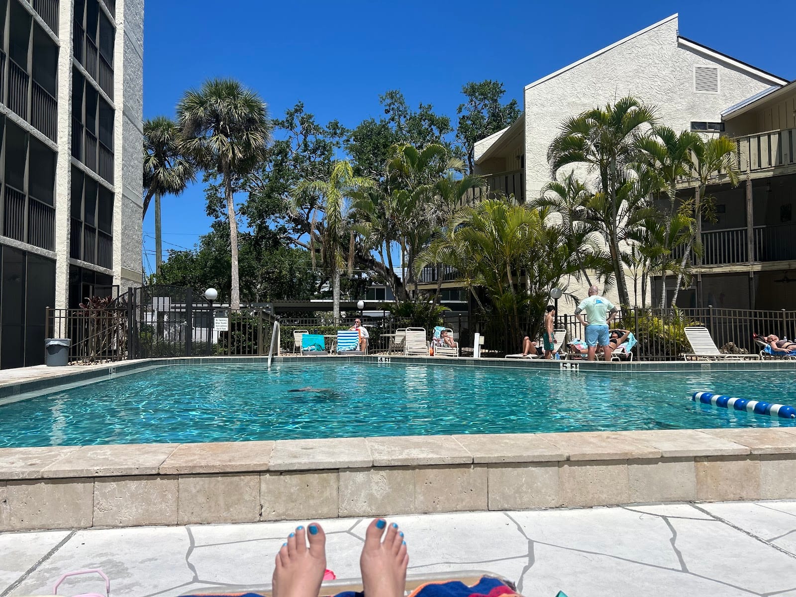 Rent Siesta Key, photo 4