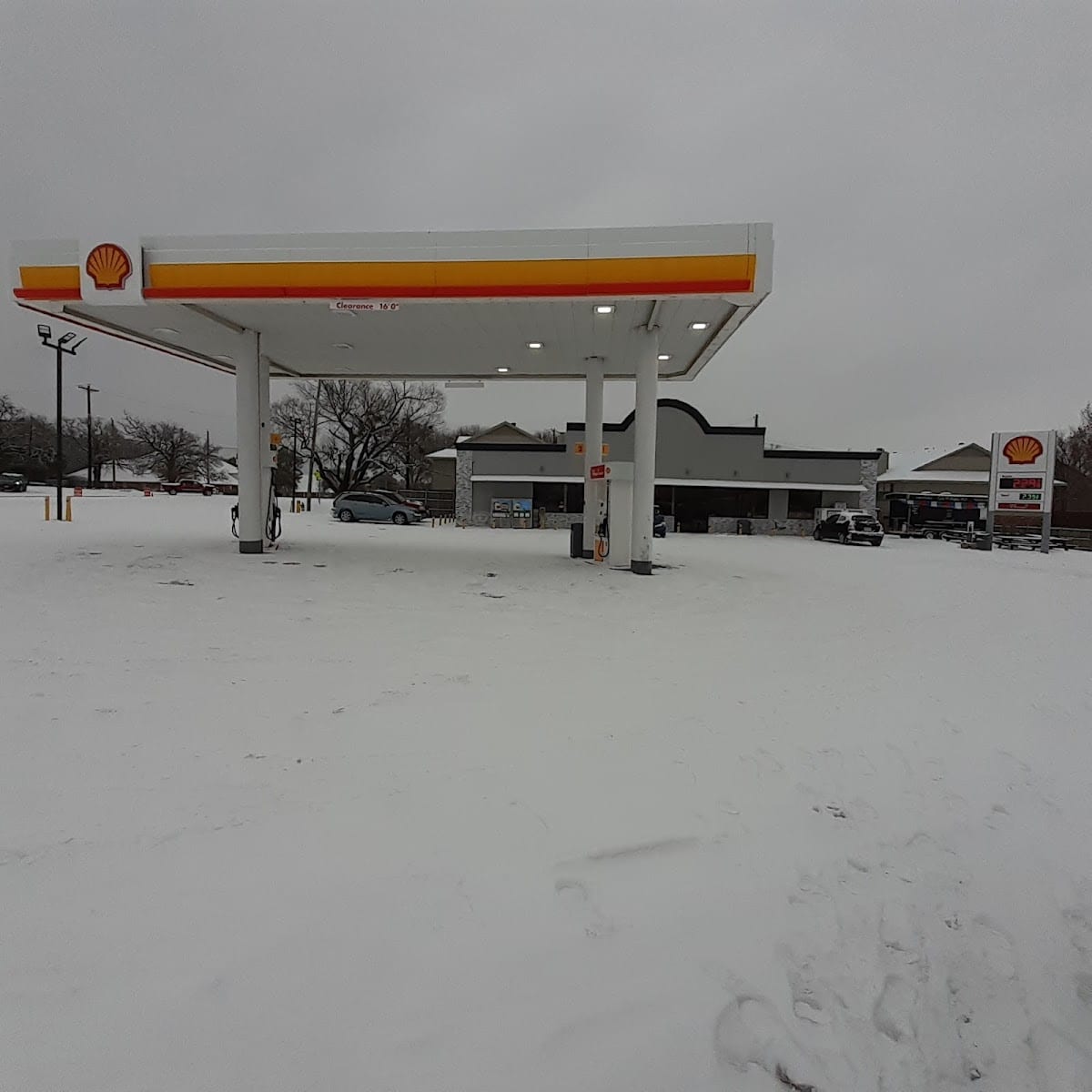 Shell, photo 3