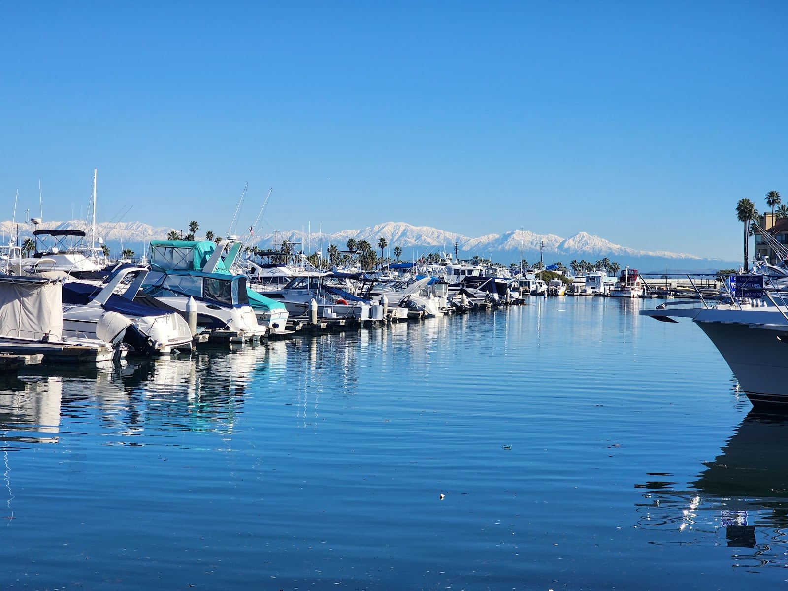 Peter's Landing, photo 2