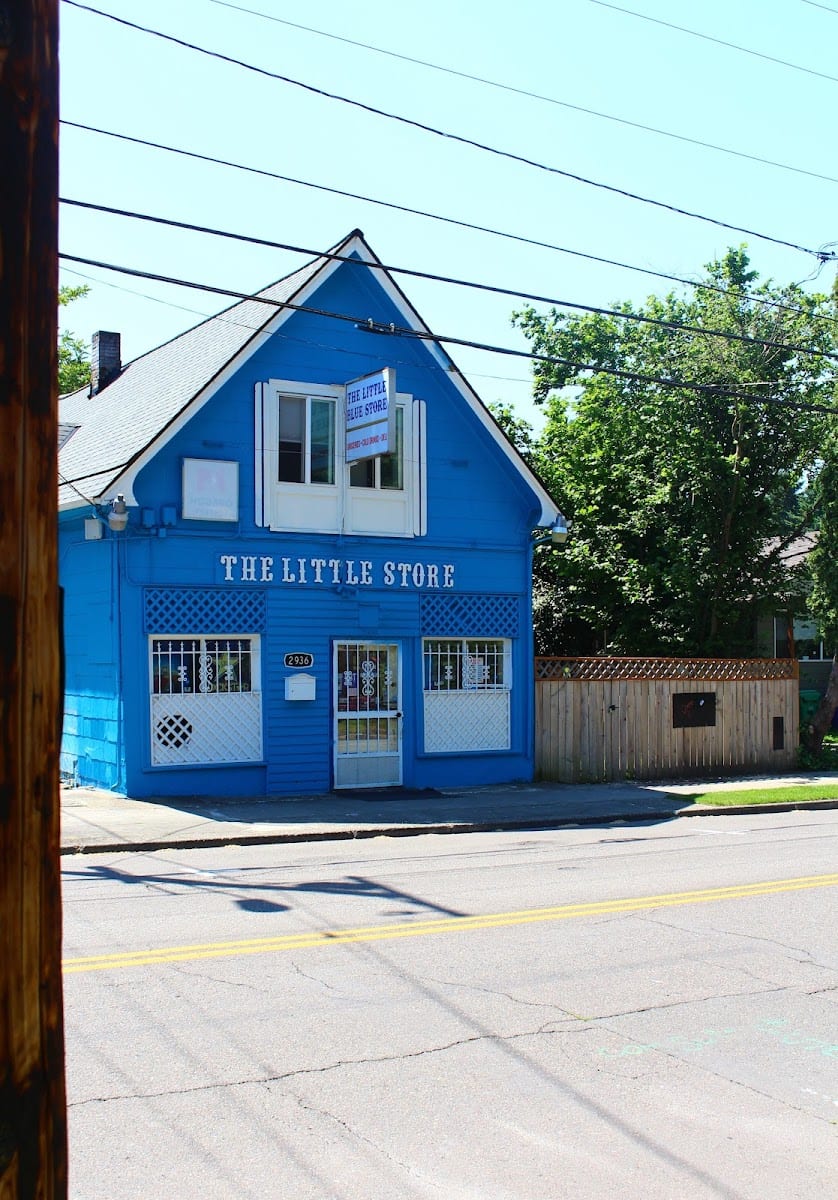 The Little Blue Store, photo 3
