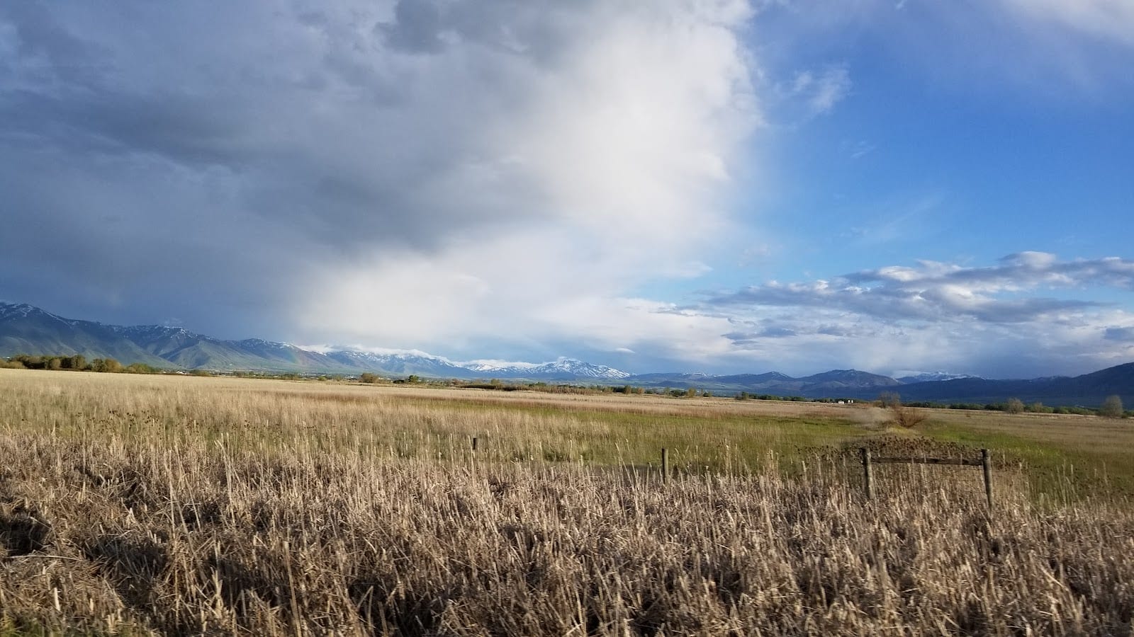 Cache Humane Society Dog Park