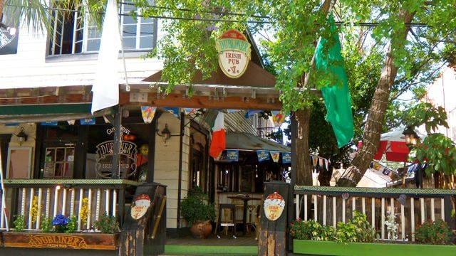 The Dubliner Irish Pub, photo 2