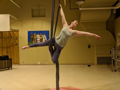 BumbleBee Aerial Fitness, photo 3