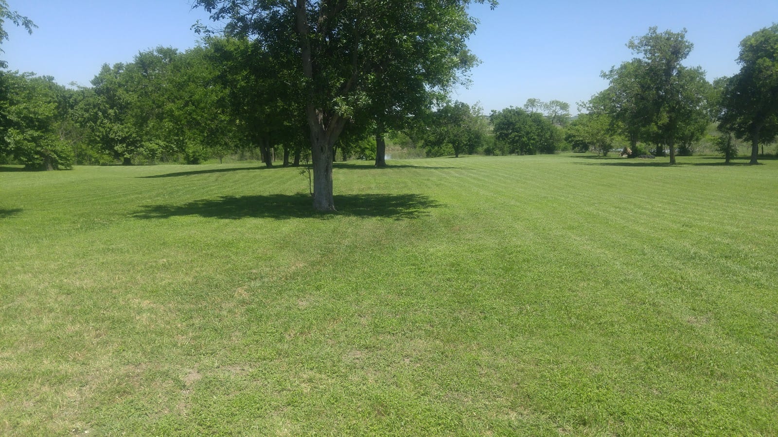 ATOE Lawn Barber Landscape / Lawn Care