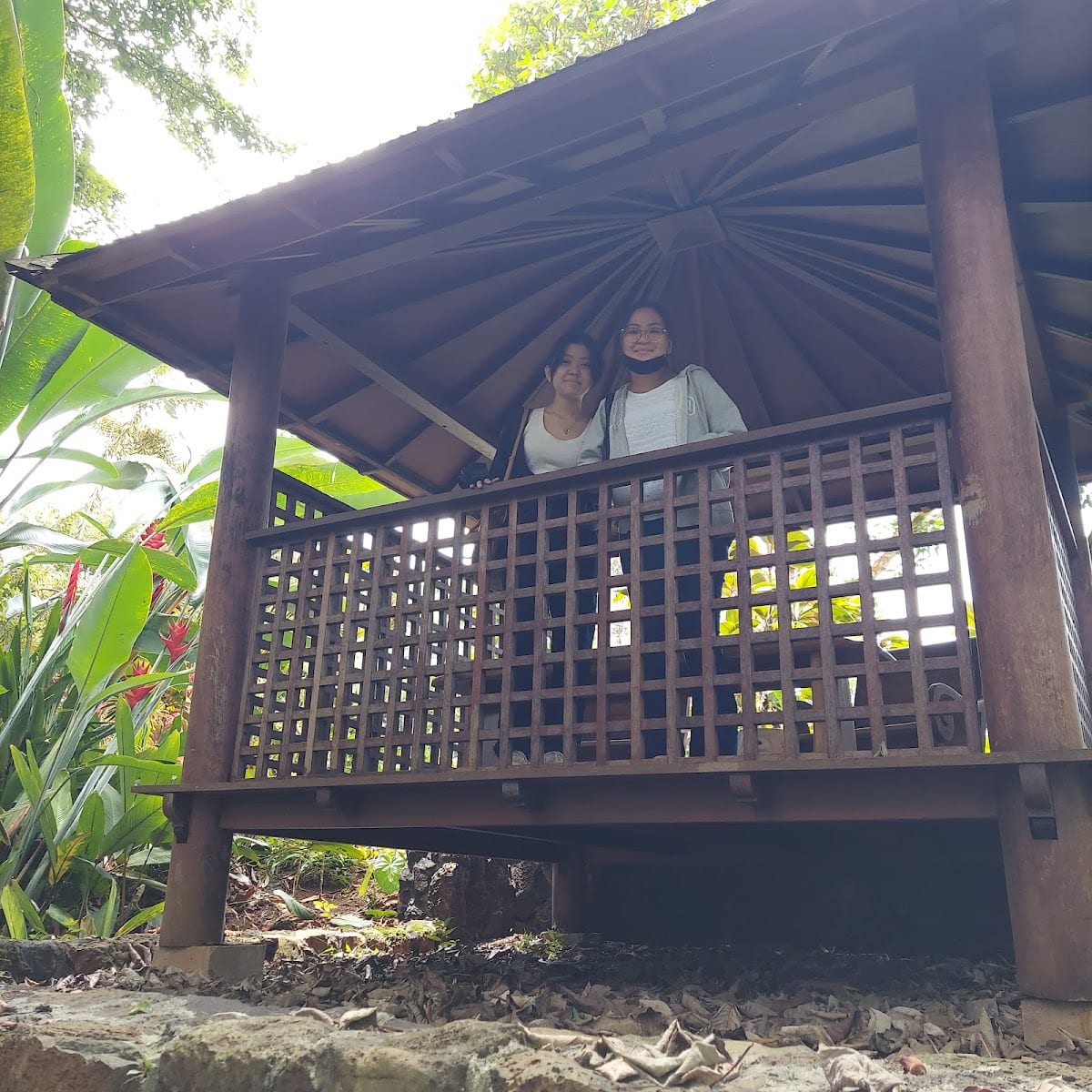 Kahaluʻu Gallery and Gardens
