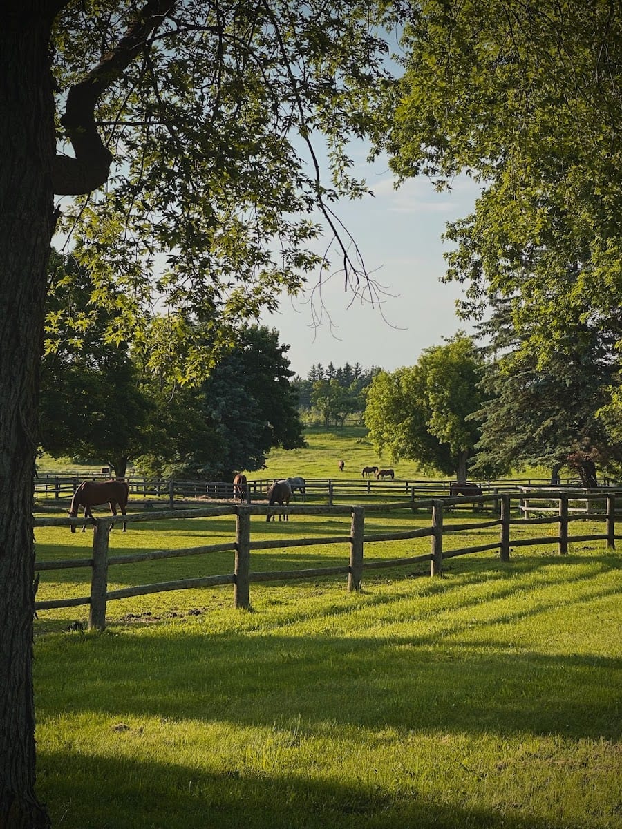 Fox Den Farms Wedding Venue, photo 3