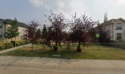 Strathcona Village Park