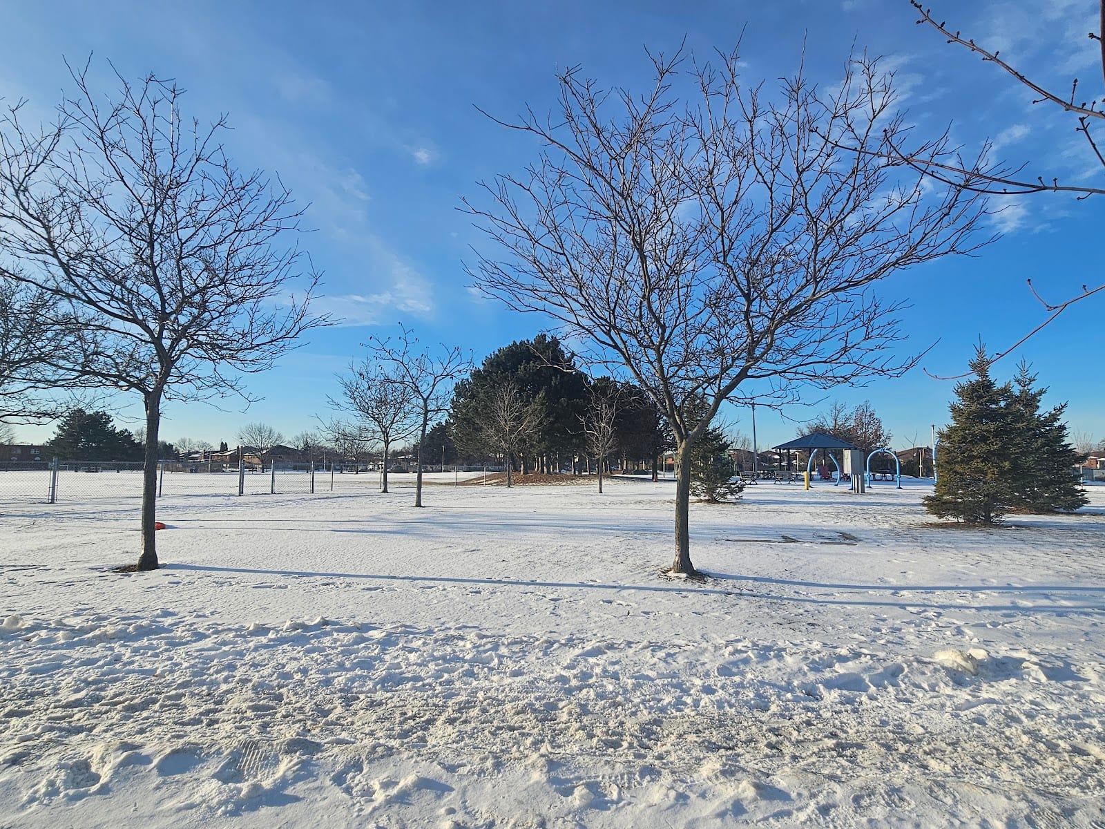Elm Park