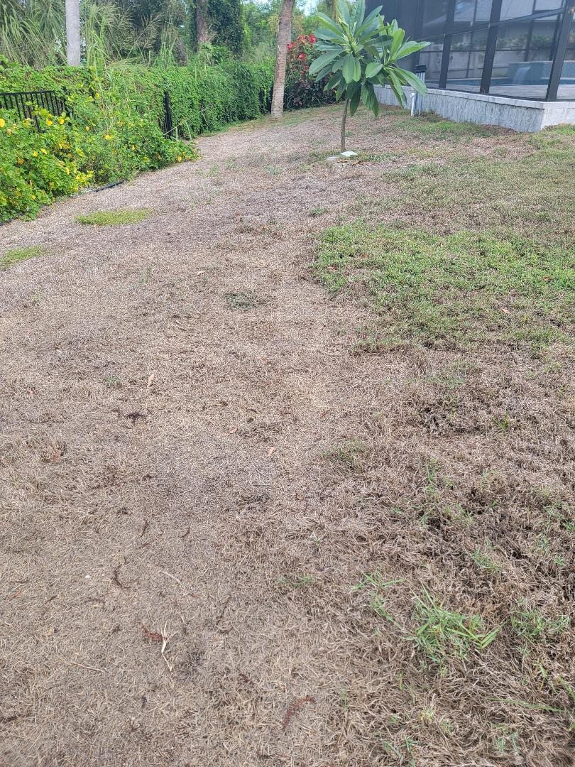 Absolute Lawn And Landscape, photo 3