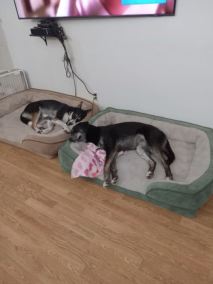 DRVC On Columbia, photo 2
