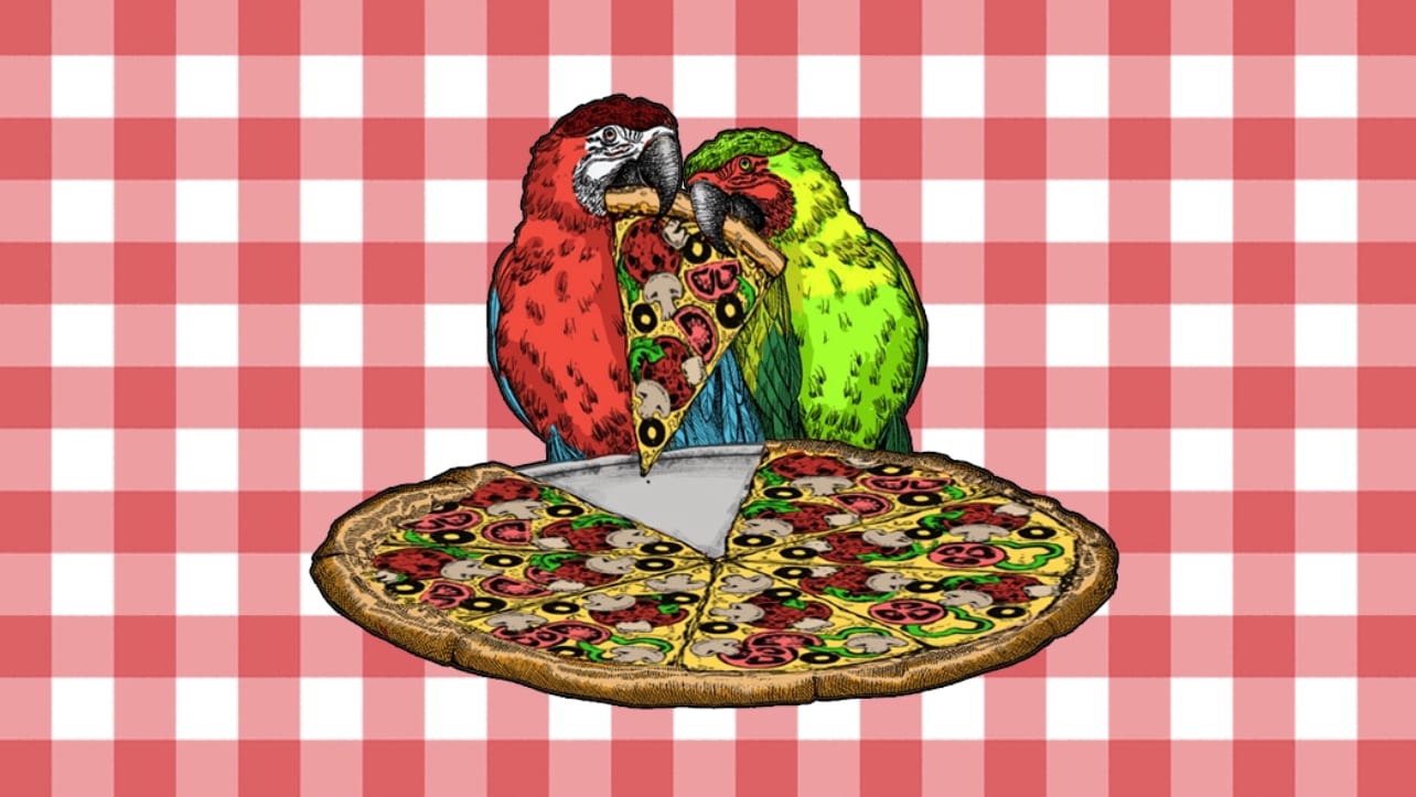 Parrot Pizzeria & Rotisserie, photo 4