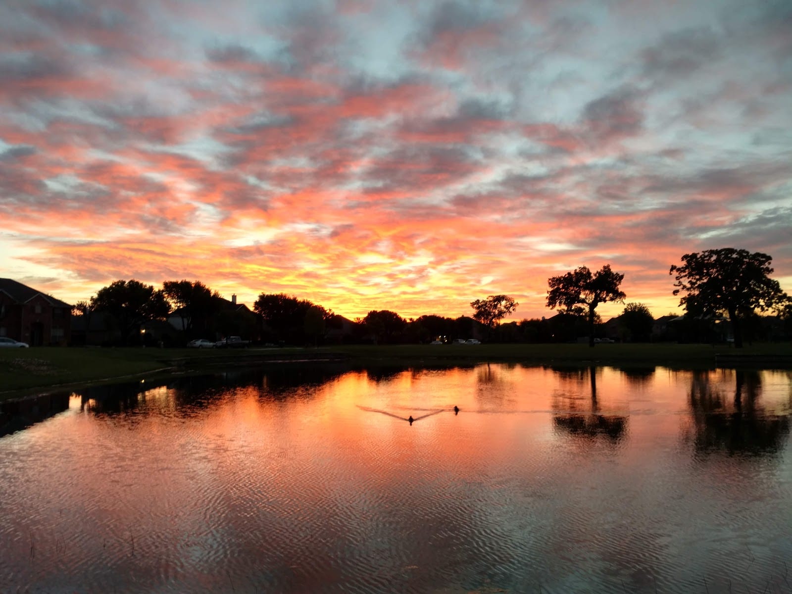 Oakwood Springs Park, photo 3