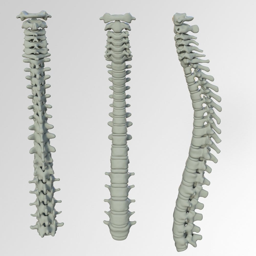 The Osteopathy Clinic, photo 4