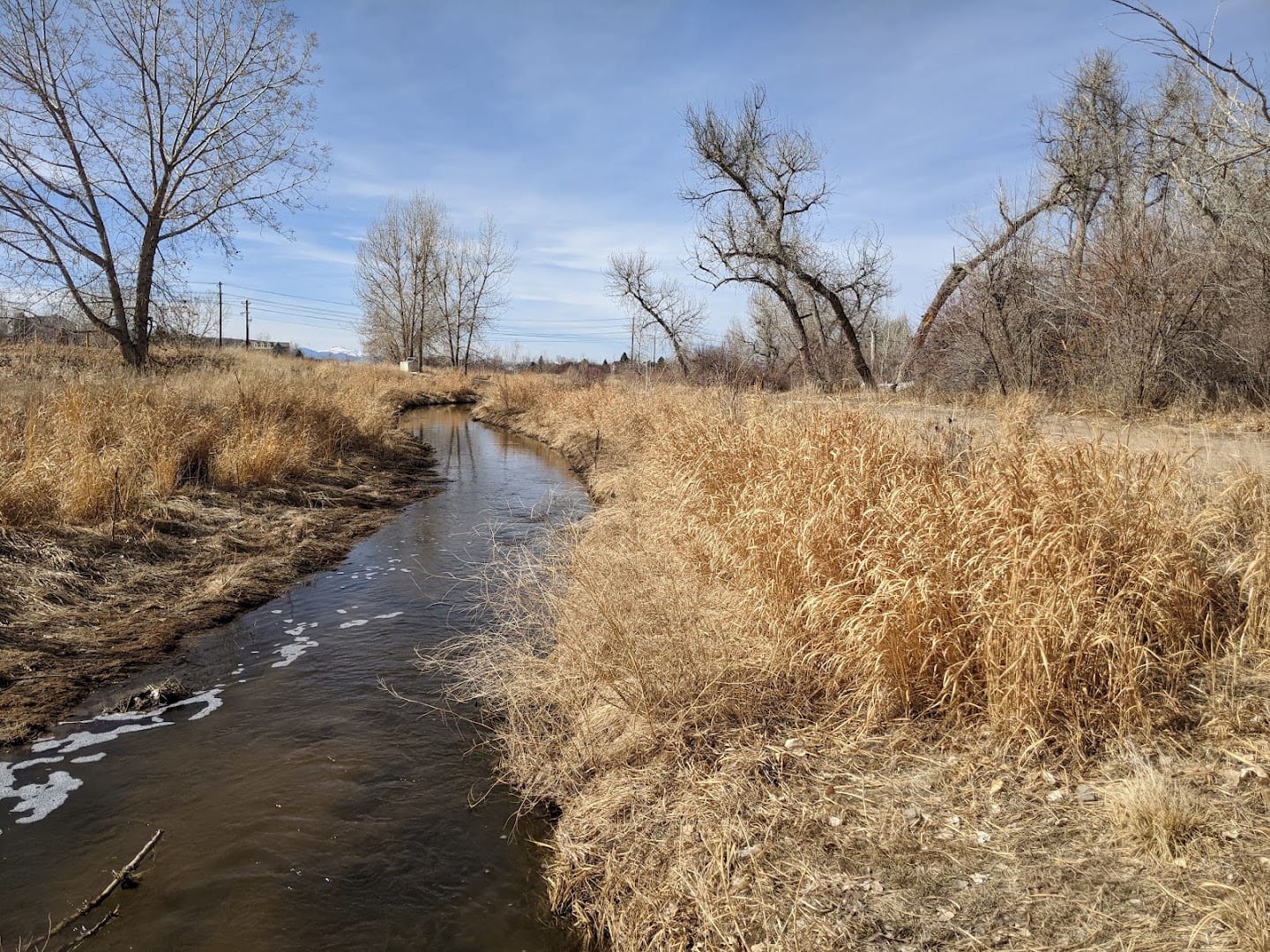 Piney Creek Hollow Park