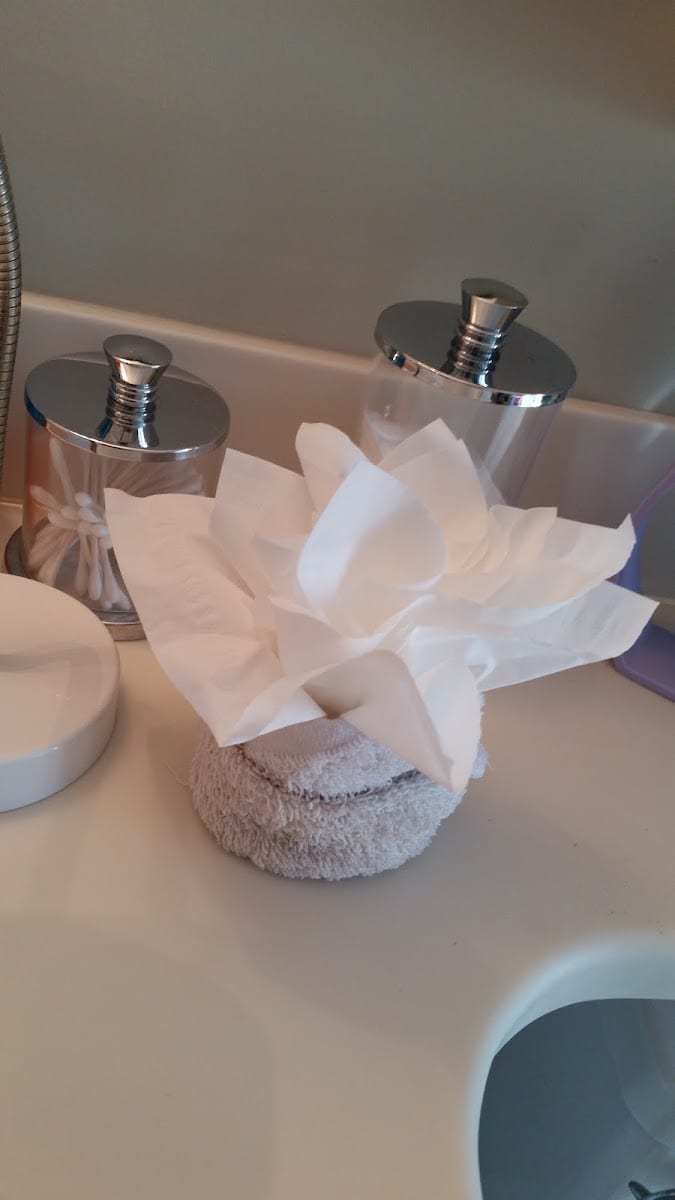 MaidPro, photo 4