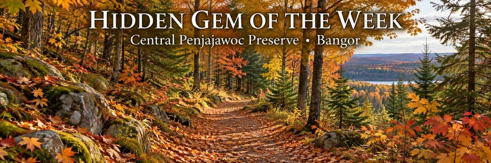 Hidden Gem of the Week: illustrative Maine woodland trail