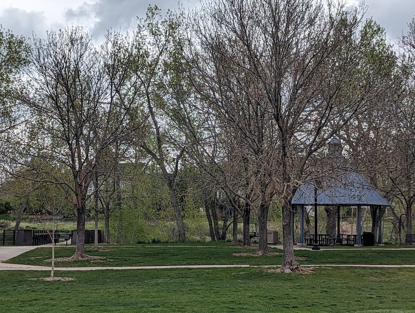 Silver Dragon Tai Chi Colorado, photo 2
