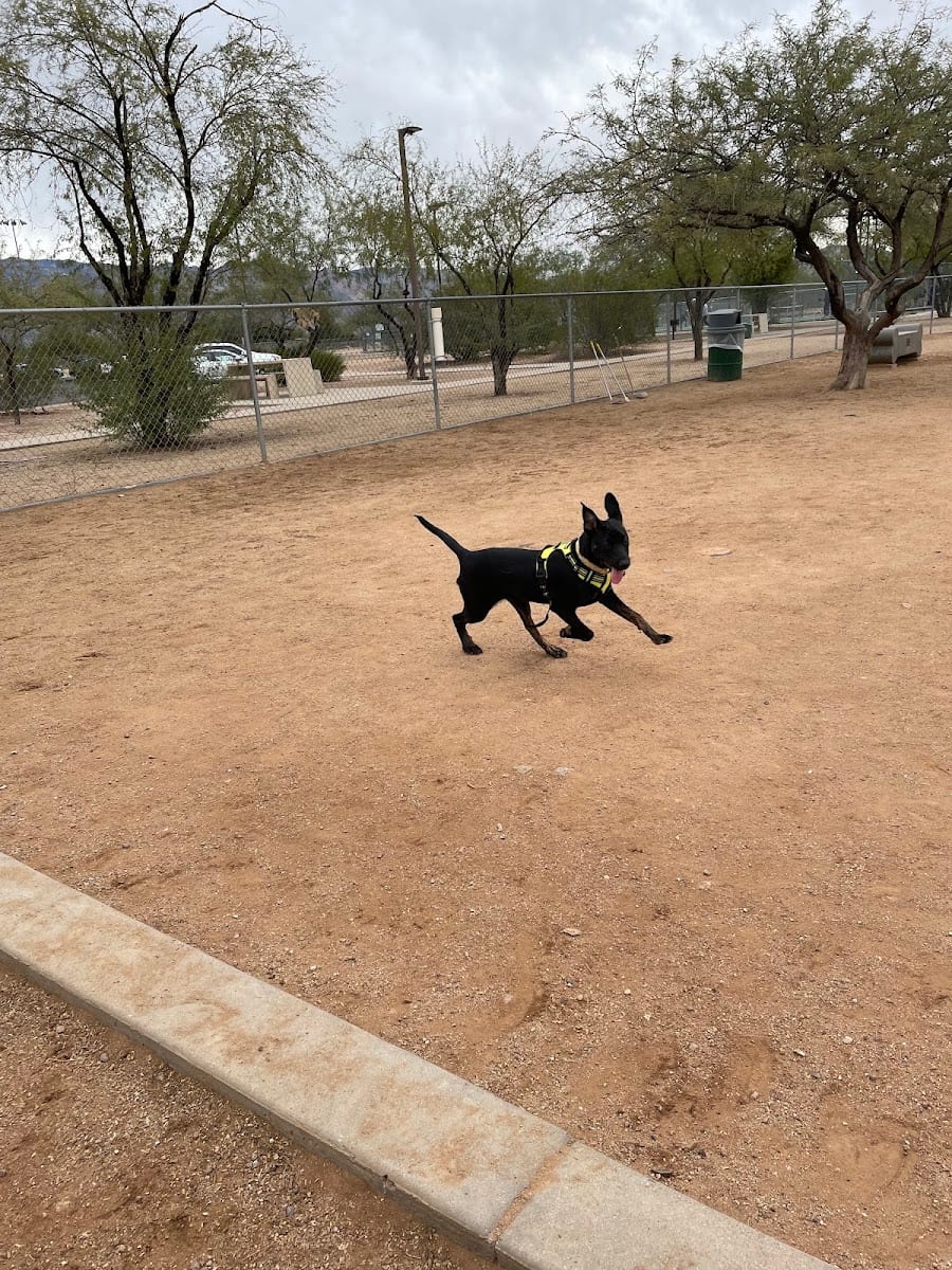 Udall Dog Park