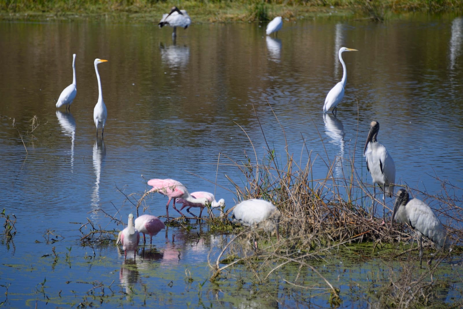 Paradise Gallery, photo 3