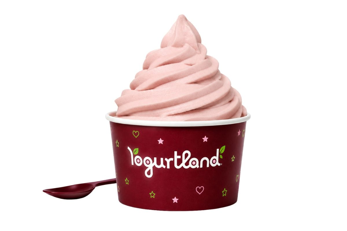 Yogurtland Laguna Hills, photo 3