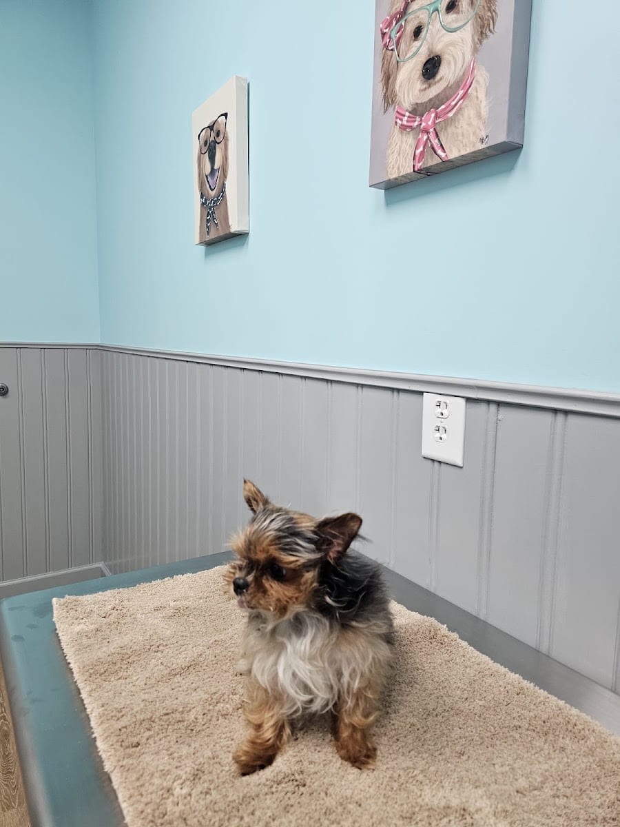 Heritage Animal Clinic, photo 3