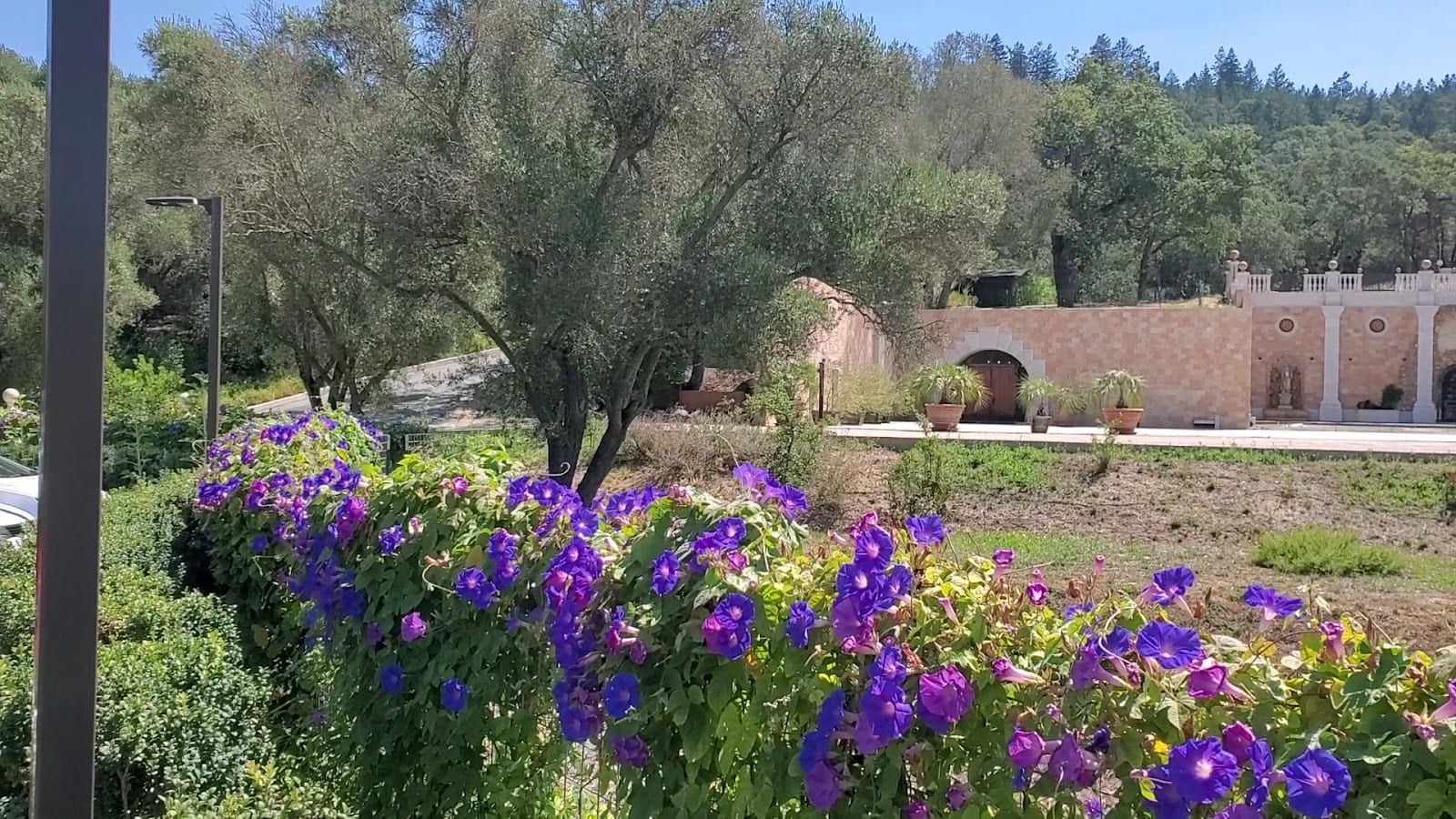 Piazza Del Dotto Winery & Caves, photo 2