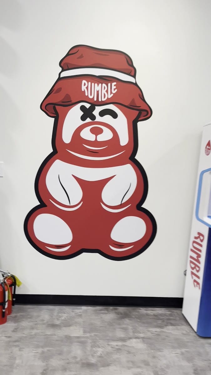 Rumble Boxing, photo 2