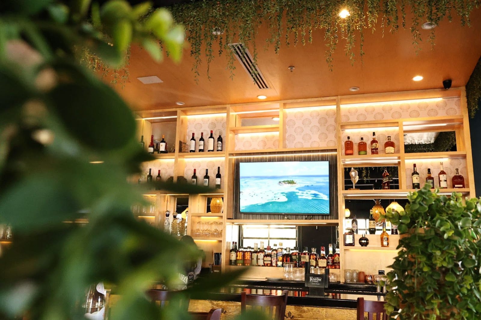 BLU Seafood Scottsdale, photo 2