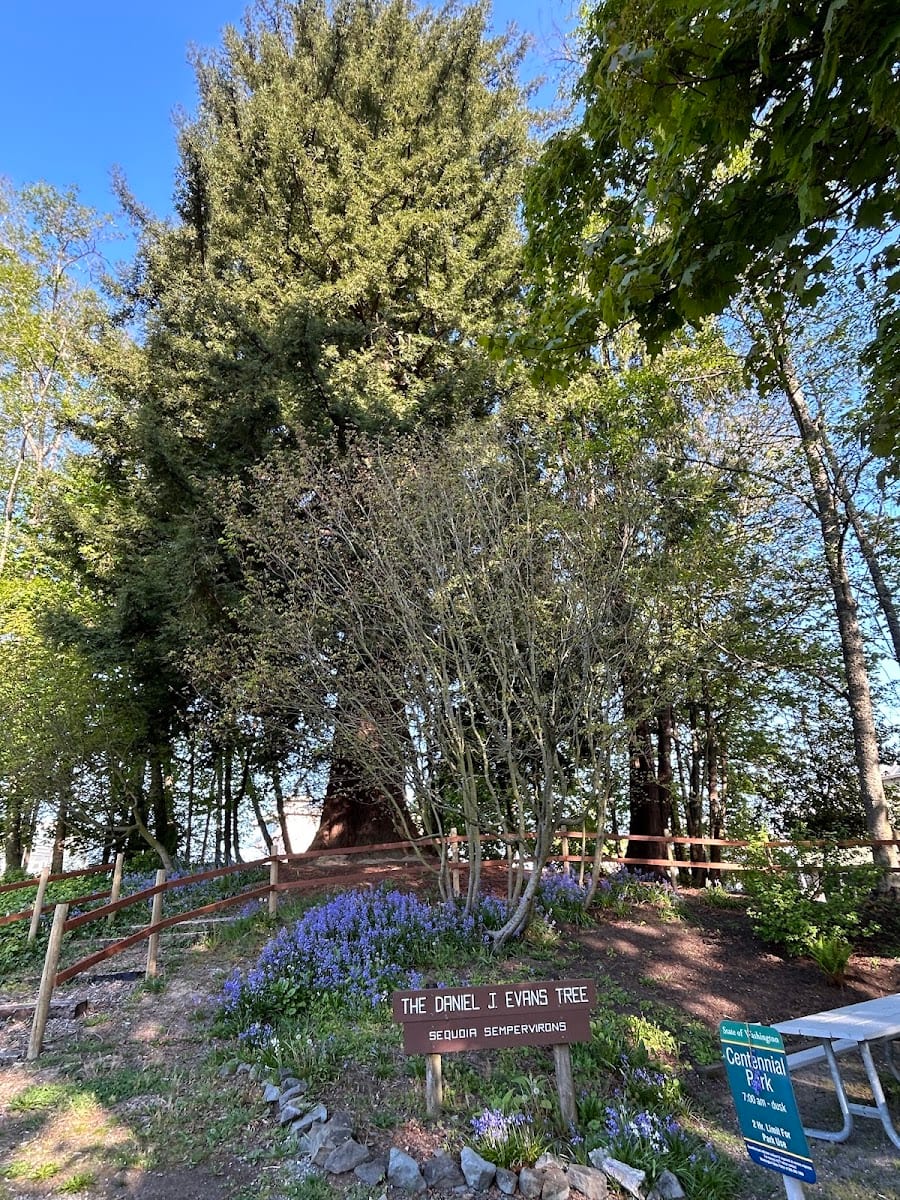 Centennial Park