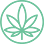 Cannabis Doc - South Tampa Medical Marijuana Doctors & Marijuana Cards
