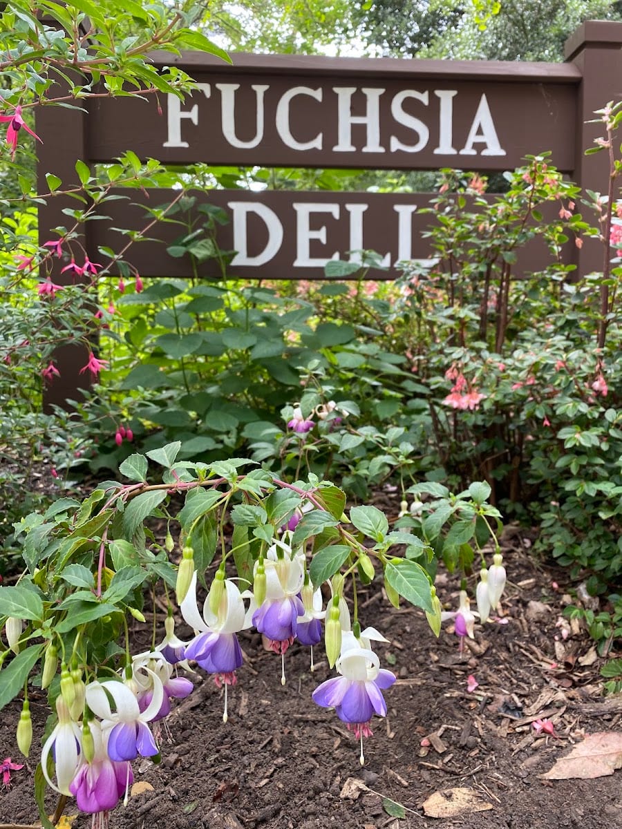 Fuchsia Dell, photo 2