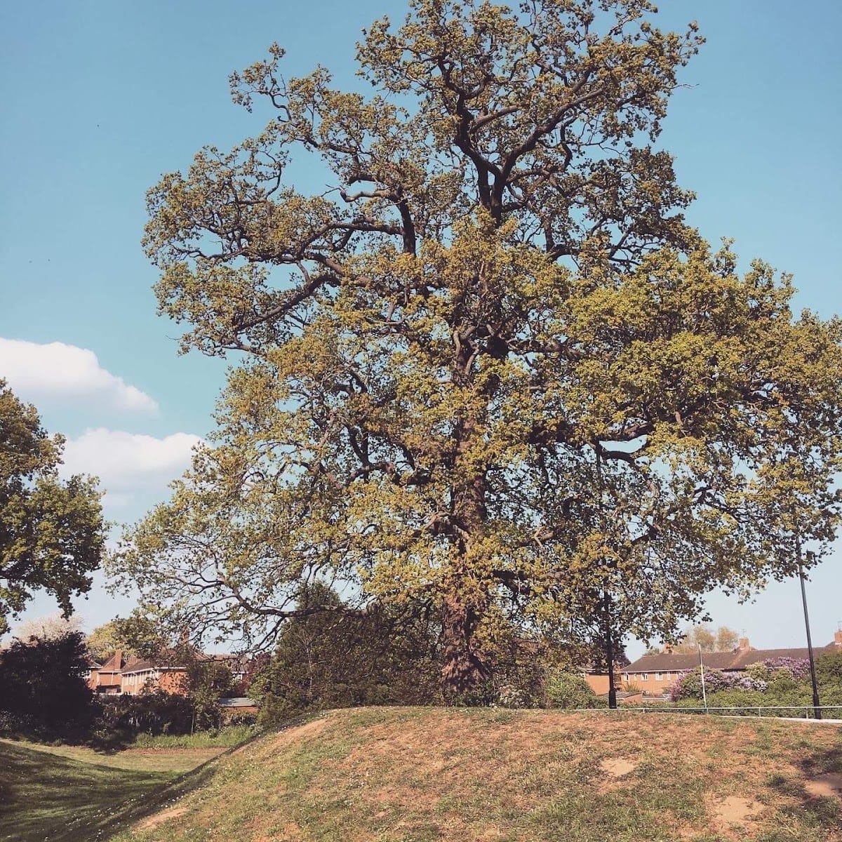 Harford Park