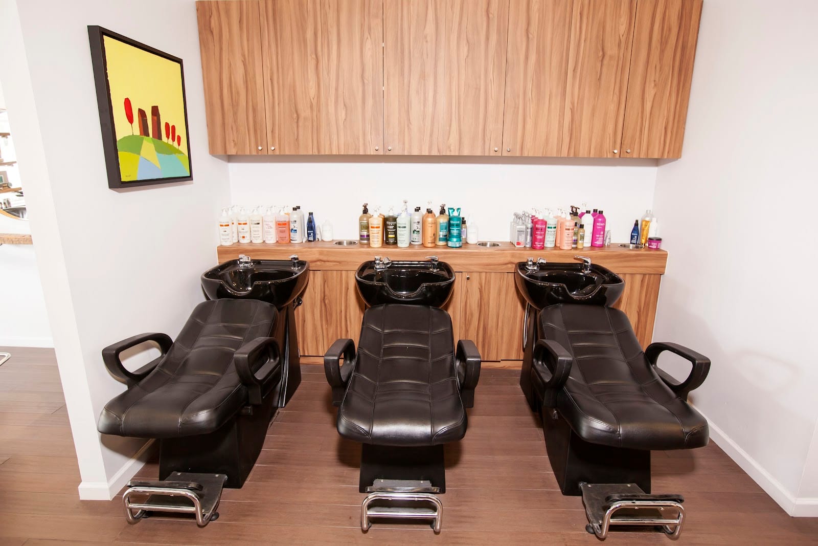 Scottsdale Extension & Color Bar, photo 4