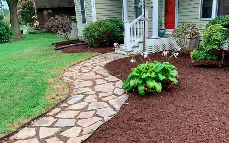 Hector Landscaping & Lawn Services