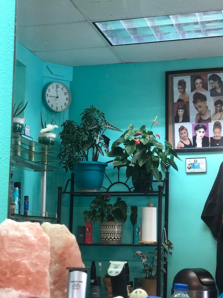 Teresa's Beauty Salon