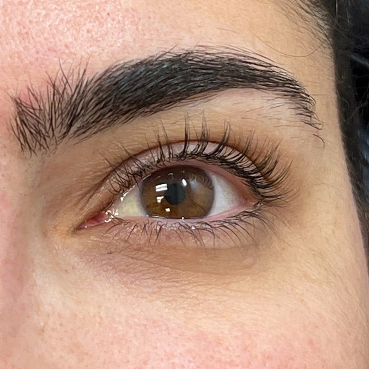 Xlash