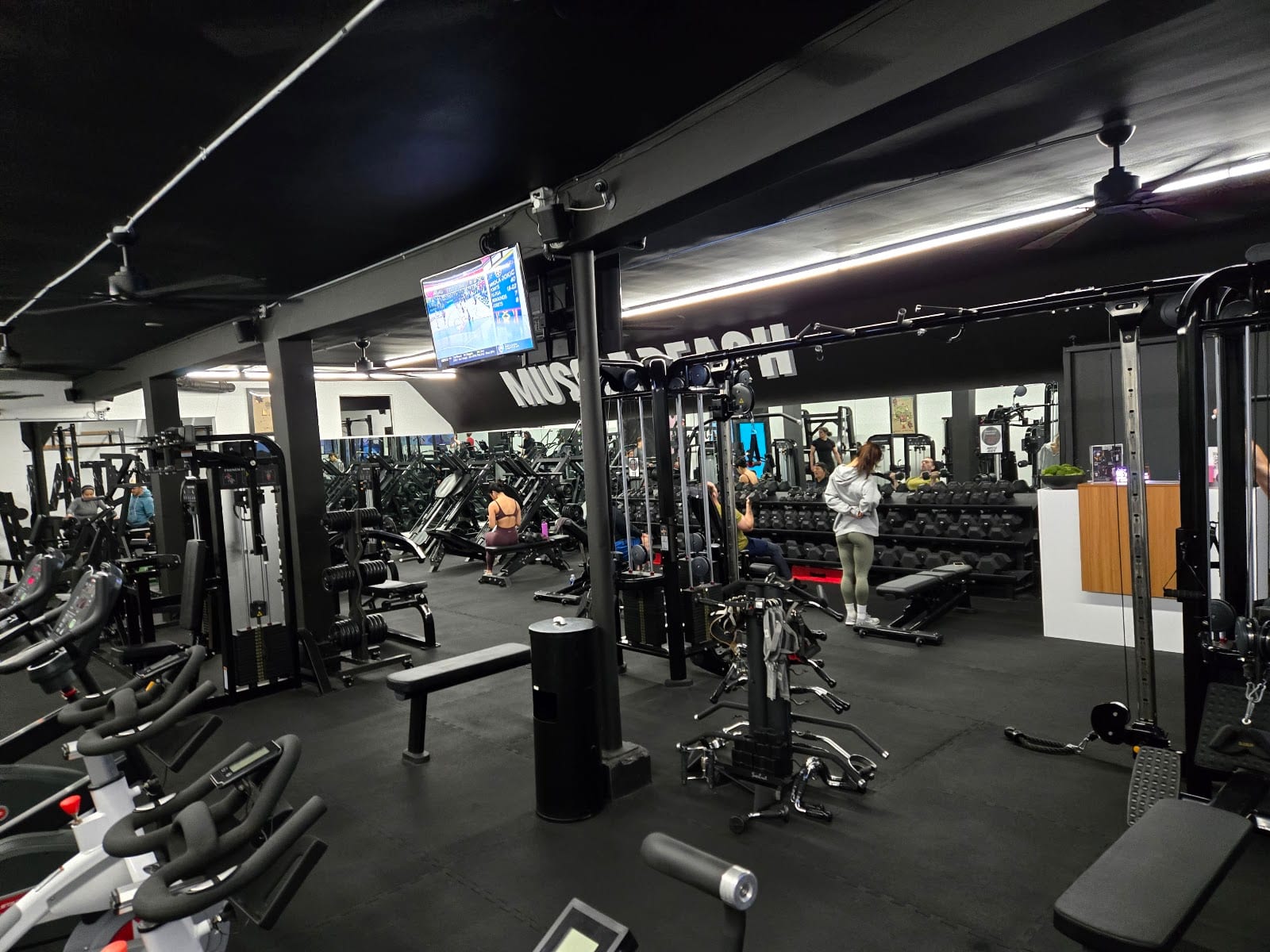 MuscleBeachSF, photo 2