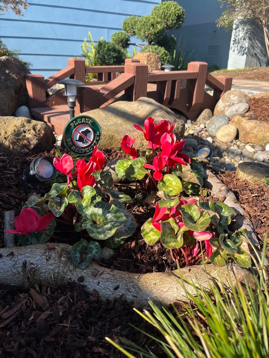Ed's Garden Service, photo 4